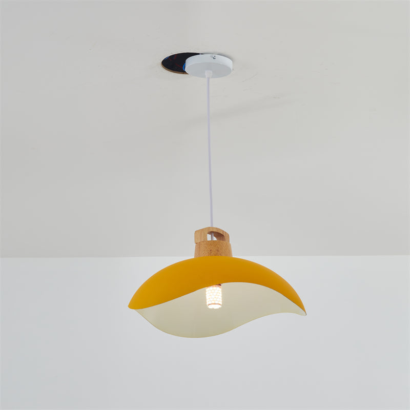 Hobokik Colorful Shade Single Pendant Lights, Wood & Metal
