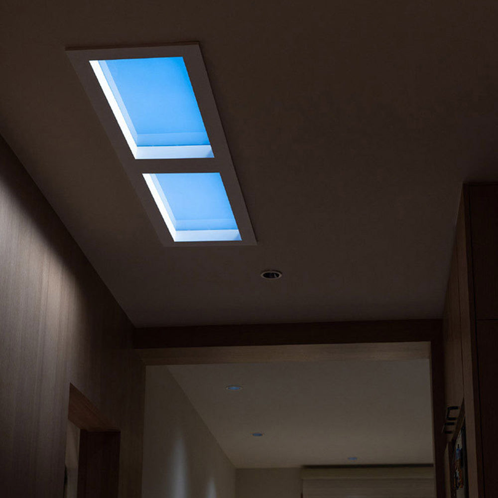 Rakugas Modern Remote Control Flush Mount Ceiling Light, Black
