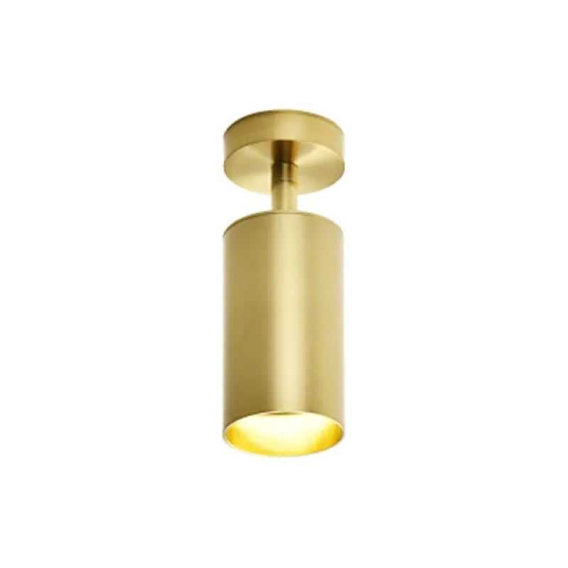 Nubuked Moderno Gold Cylinder Spotlight Background Flush Mount Ceiling Light, Metal
