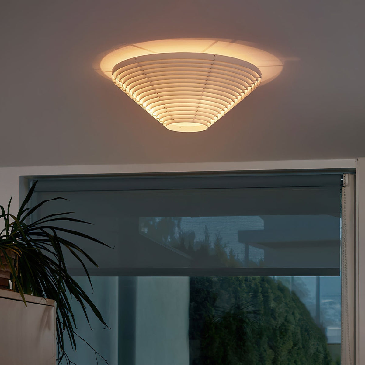 Terieiella Ceiling Lamp