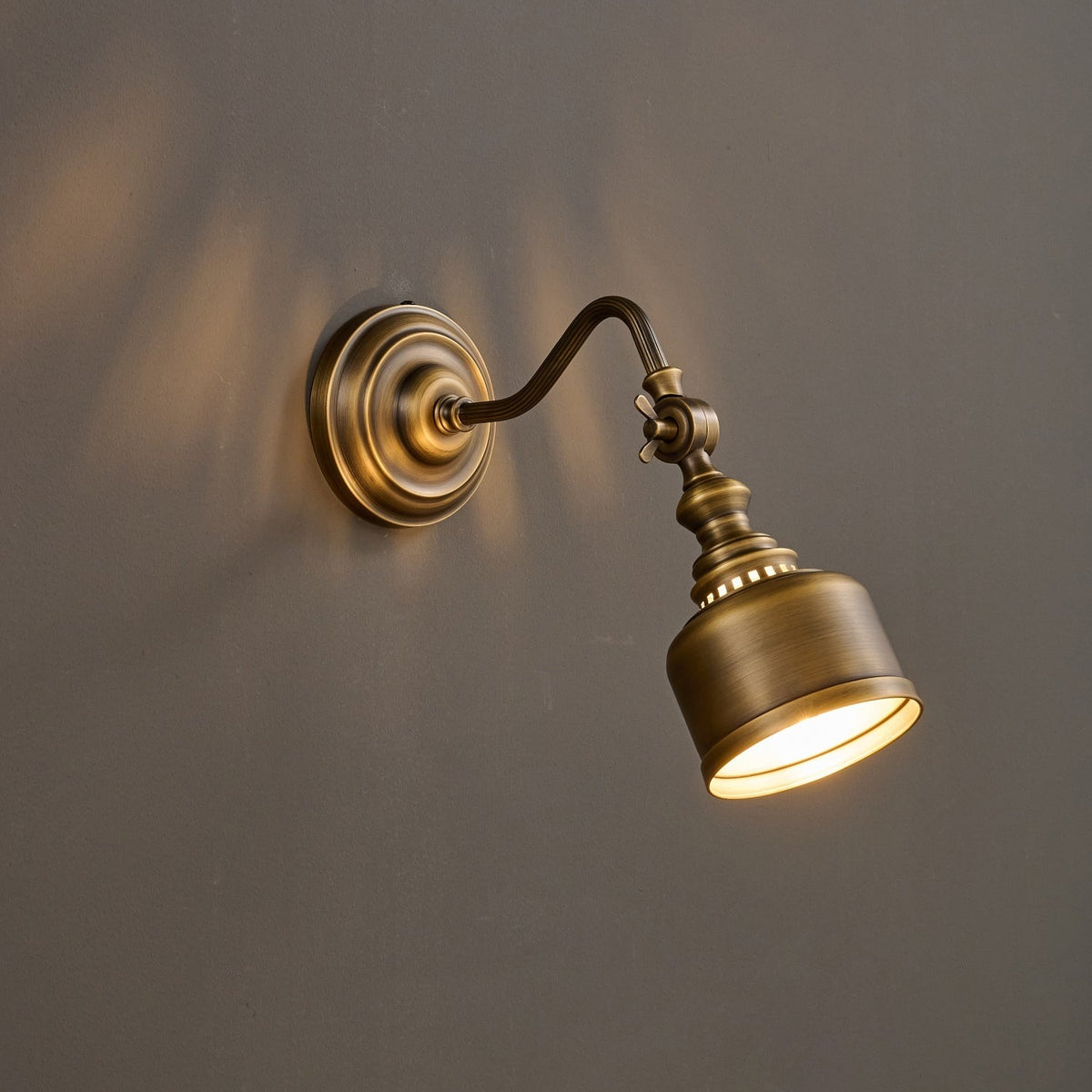 Orelelenne Gooseneck Wall Lamp