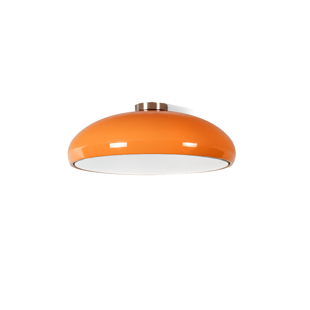 Lioroise Ceiling Light