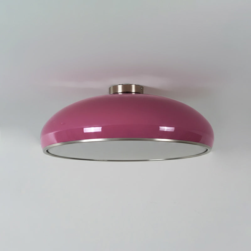 Lioroise Ceiling Light