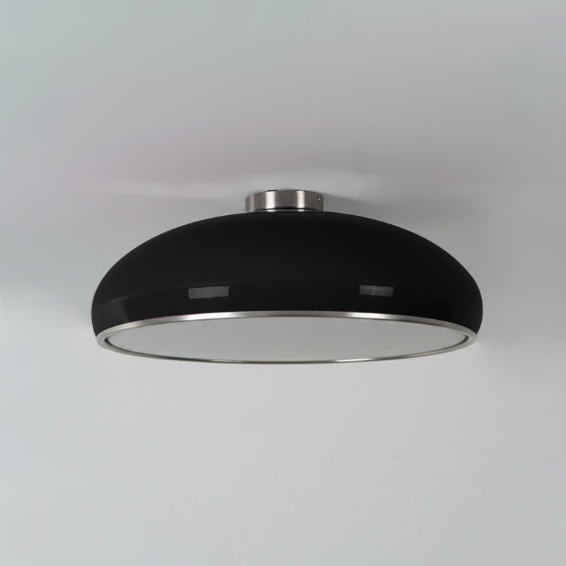 Lioroise Ceiling Light