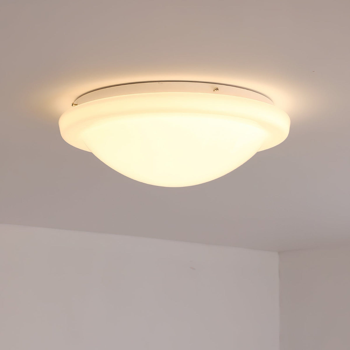 Seloelle Ceiling Light
