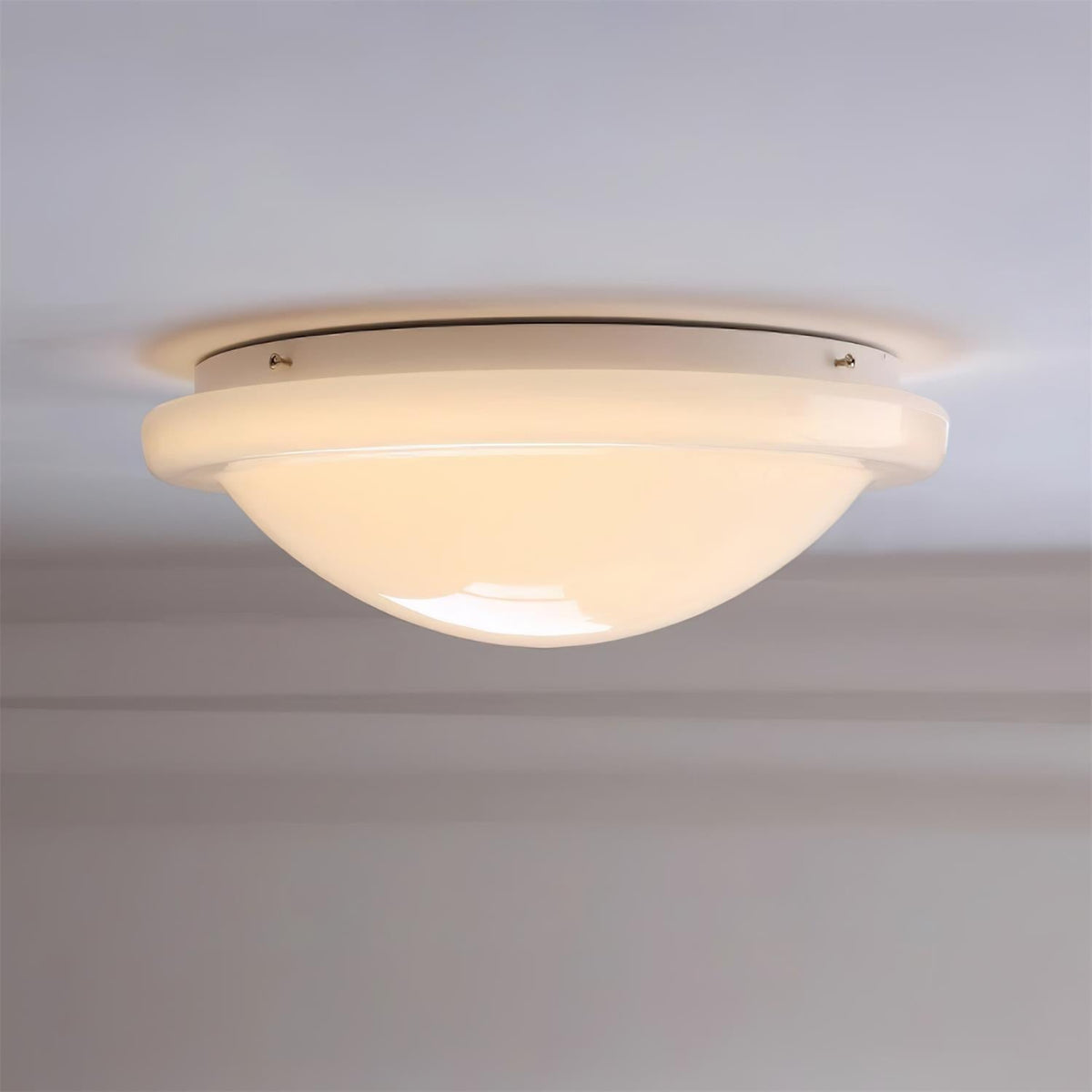 Seloelle Ceiling Light