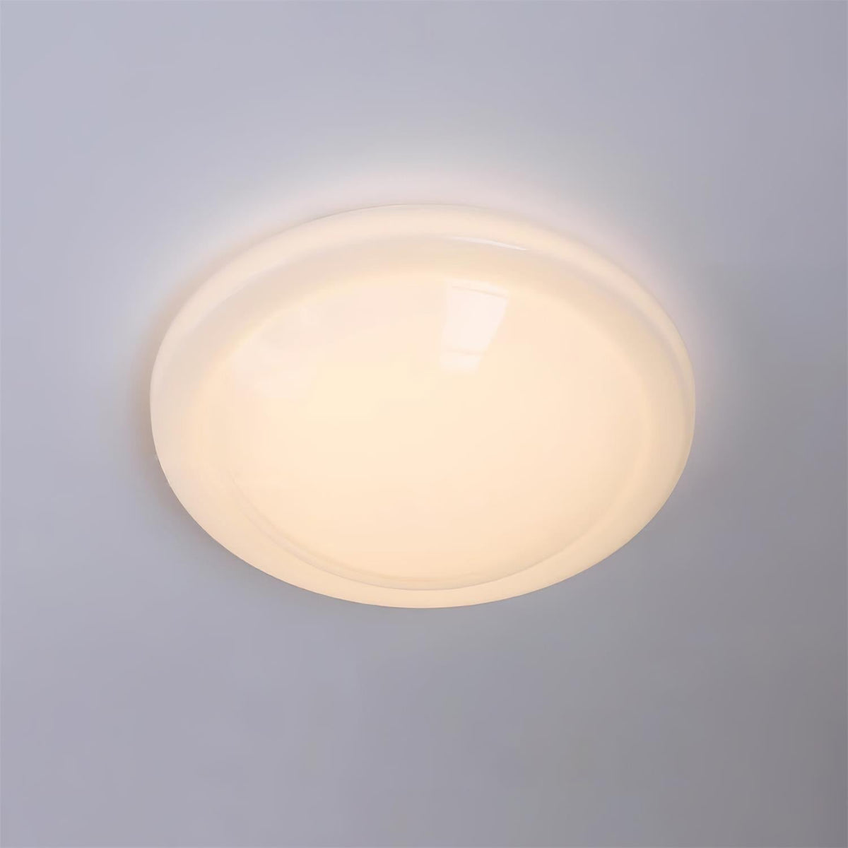 Seloelle Ceiling Light