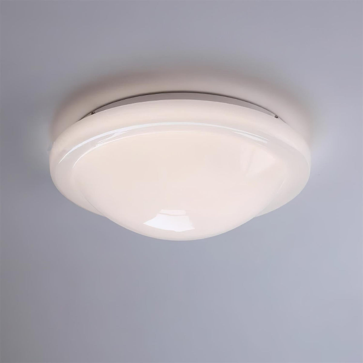 Seloelle Ceiling Light