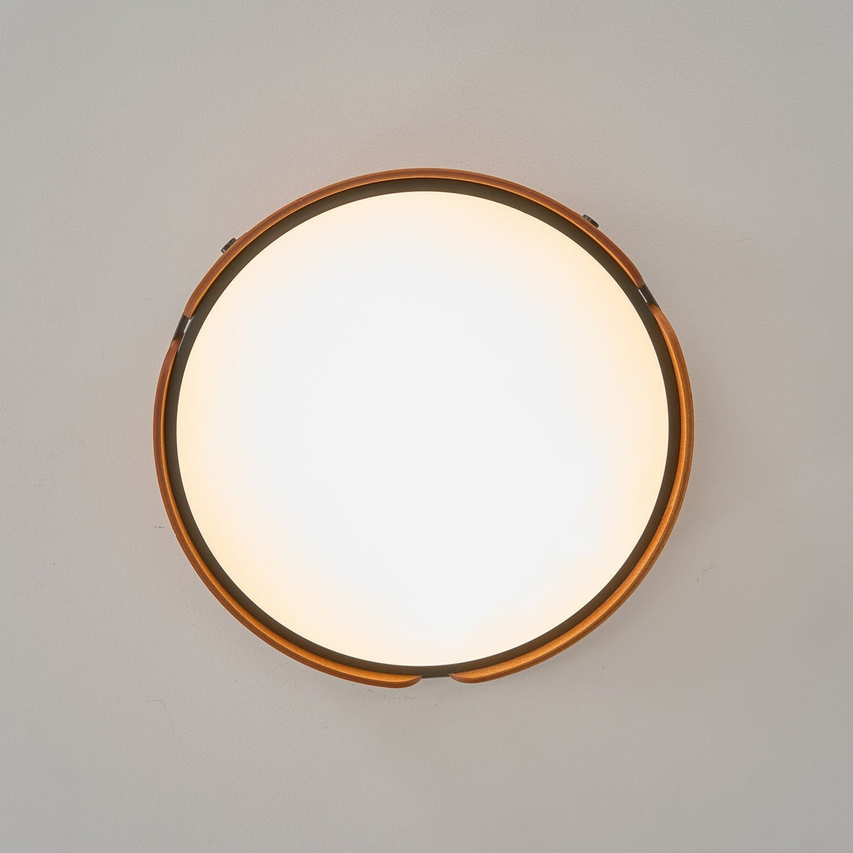 Sylarina Wood Ceiling Light