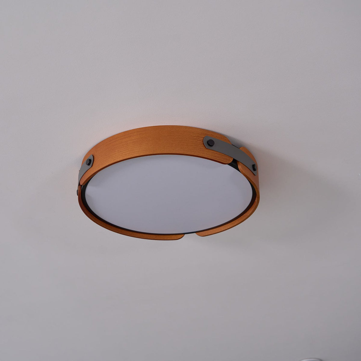 Sylarina Wood Ceiling Light