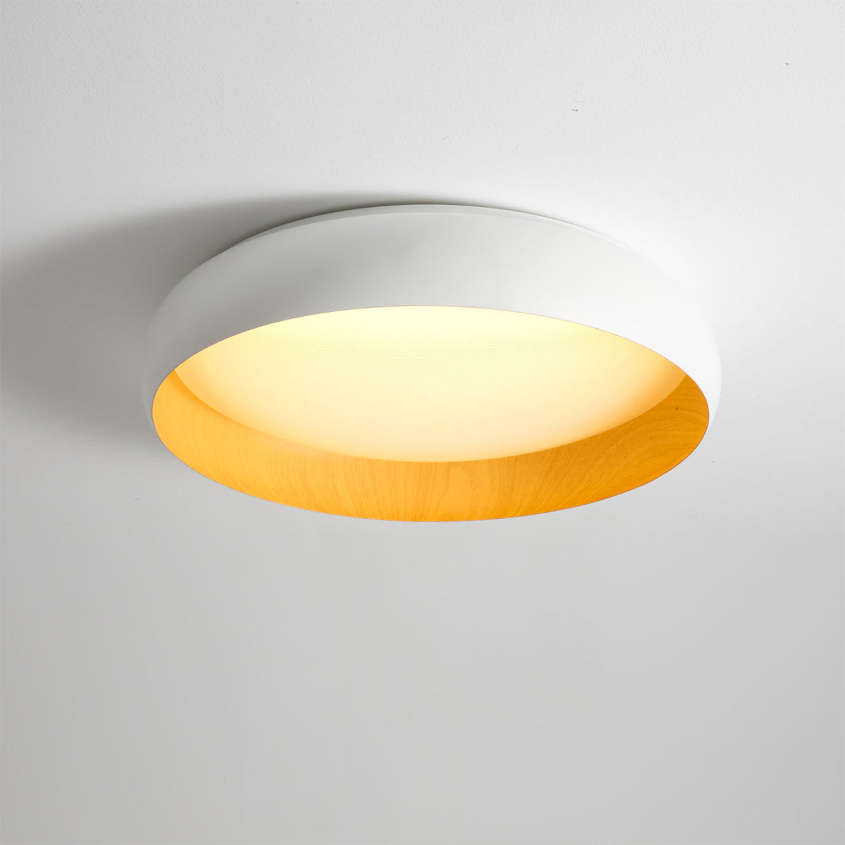 Ebonelle Ceiling Light