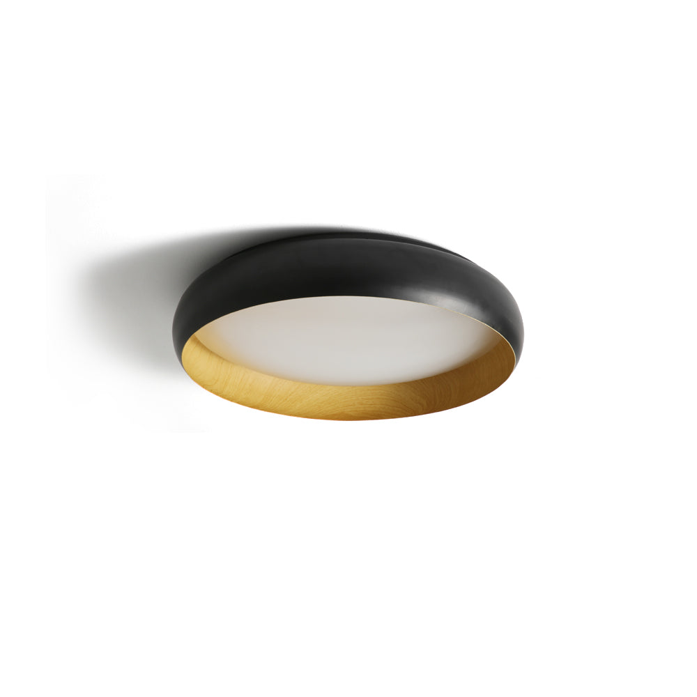 Ebonelle Ceiling Light