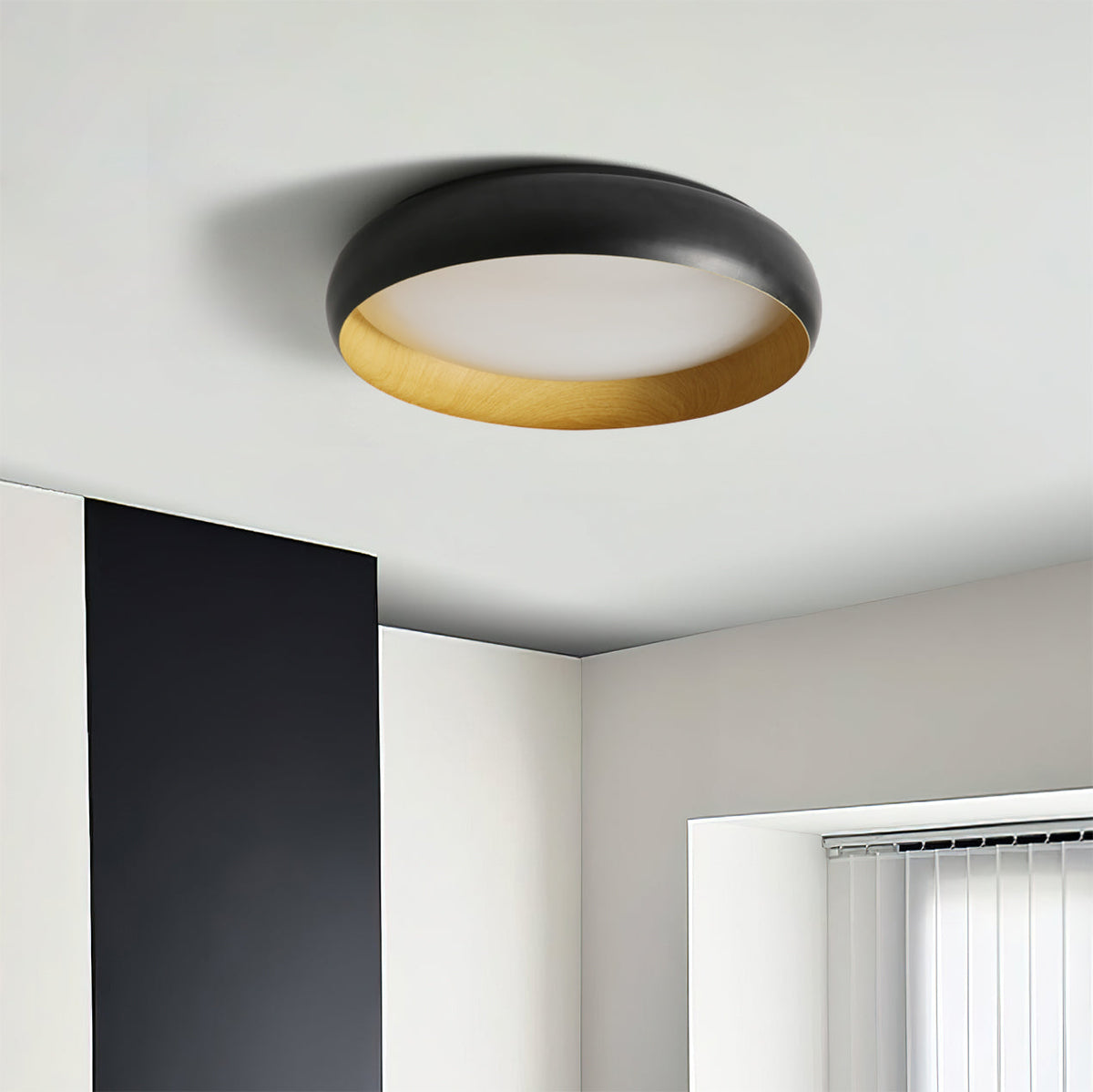 Ebonelle Ceiling Light