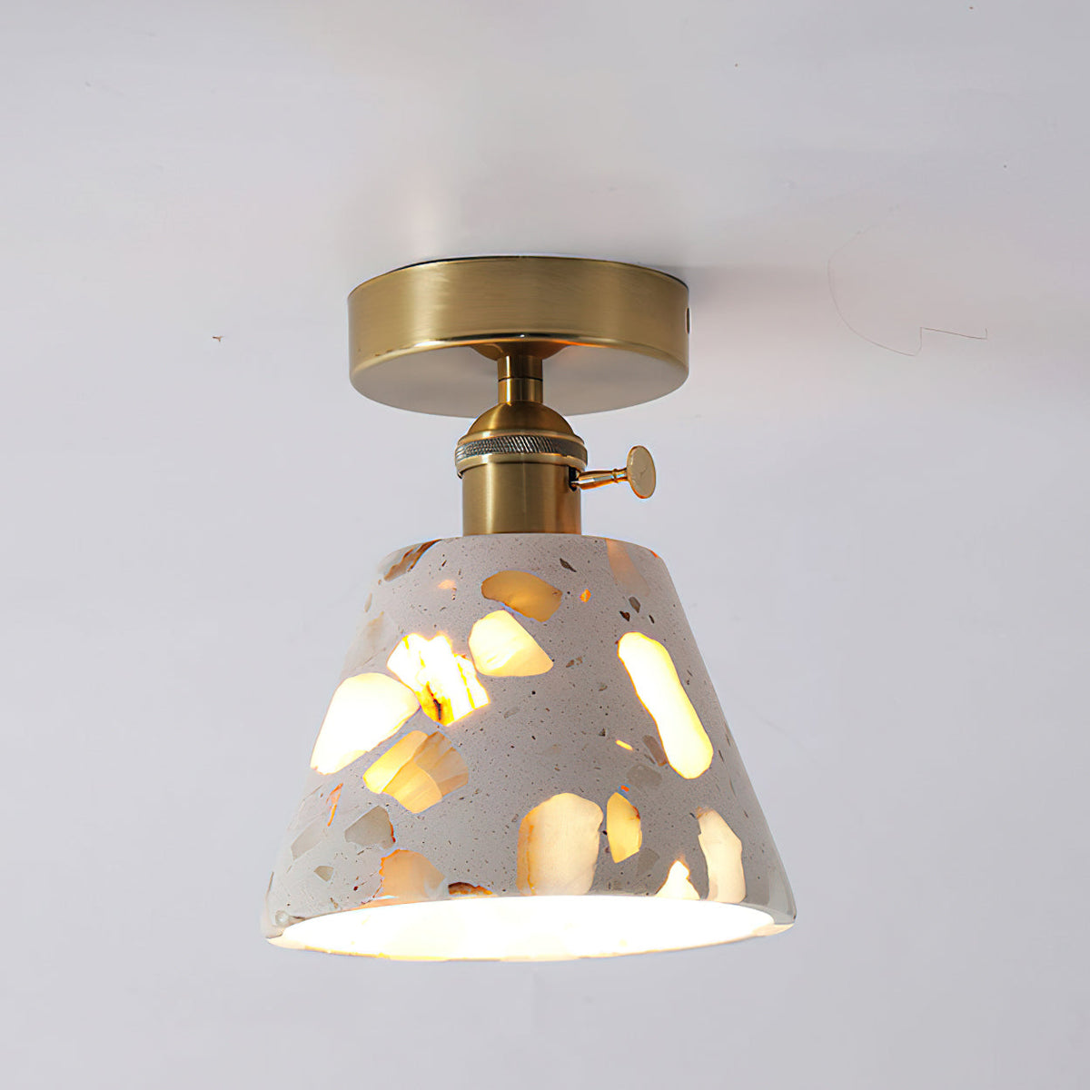 Avenerora Ceiling Light
