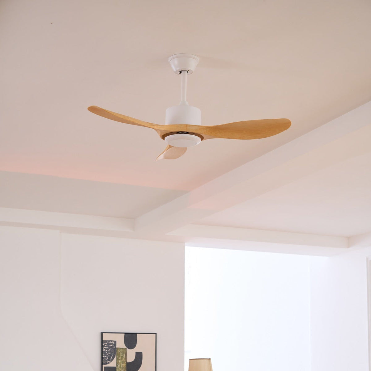 Aldaine Minimalist Wood Ceiling Fan