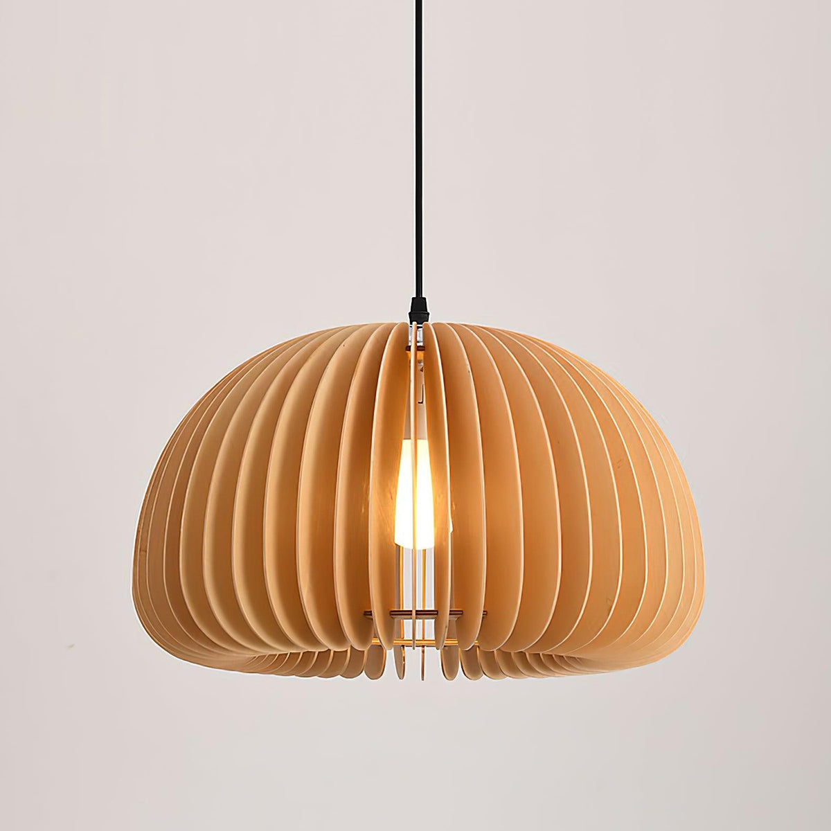 Liorard Pendant Lamp