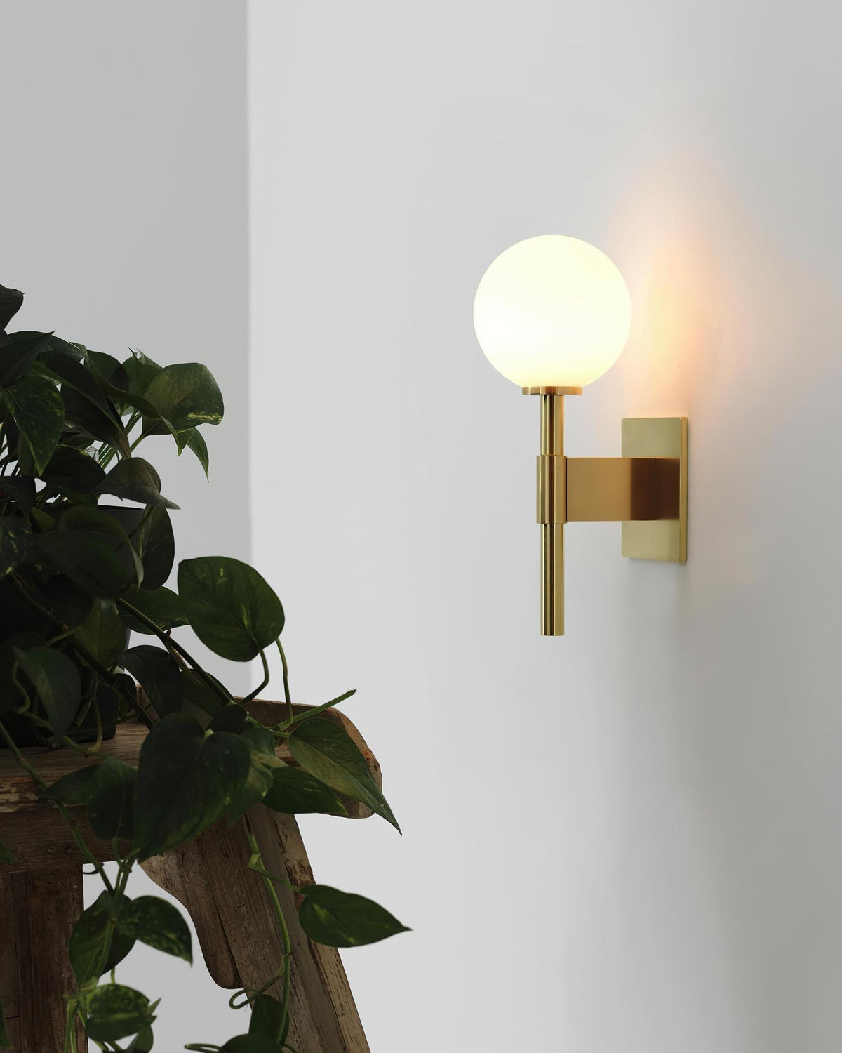 Veleneria Wall Lamp