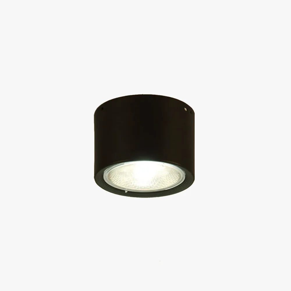 Mebokore Modern Round Flush Mount Ceiling Light, Wood/Black, Living Room