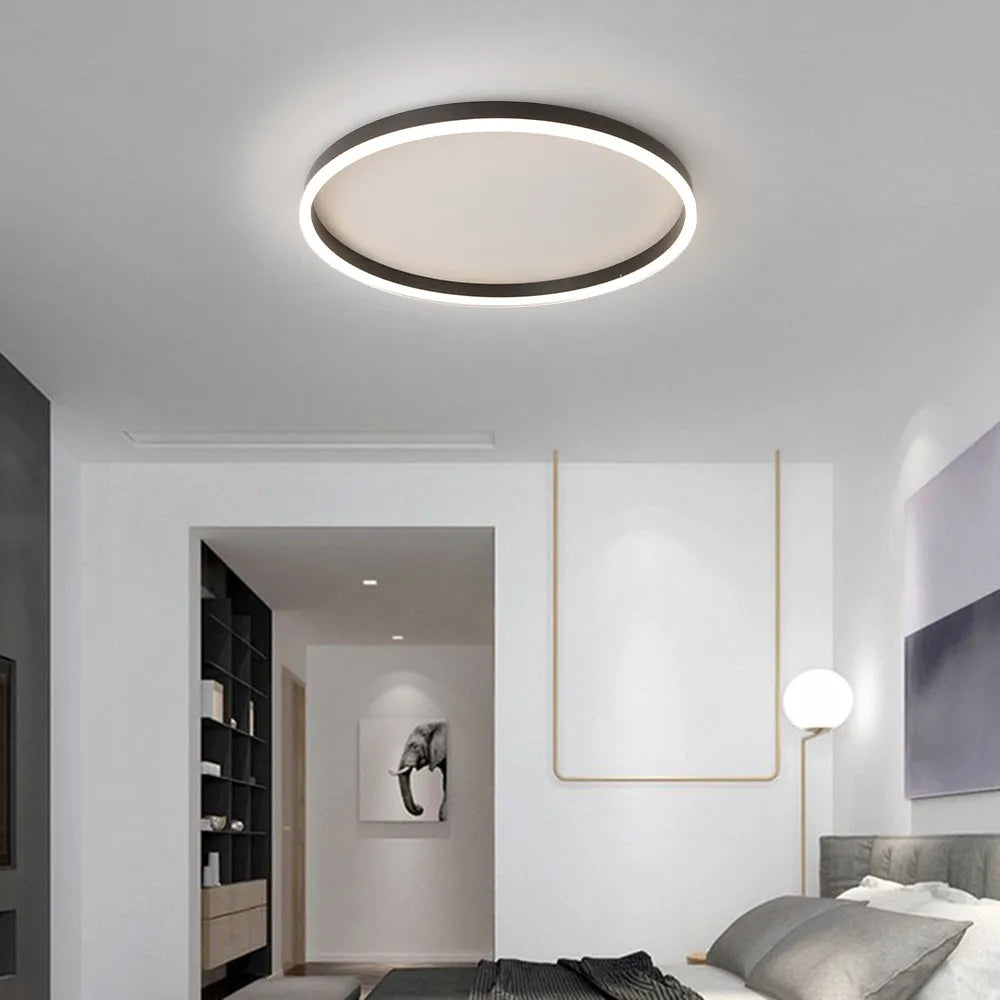 Dunomut Minimalist Ring Metal Flush Mount Ceiling Light, Black