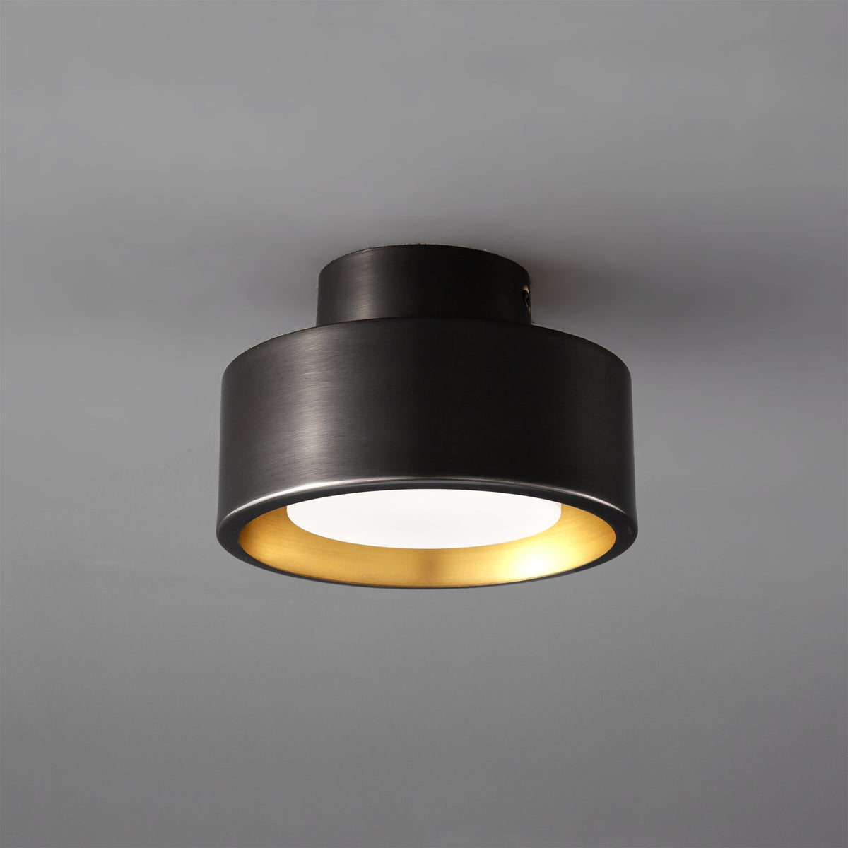 Orelirina Ceiling Light