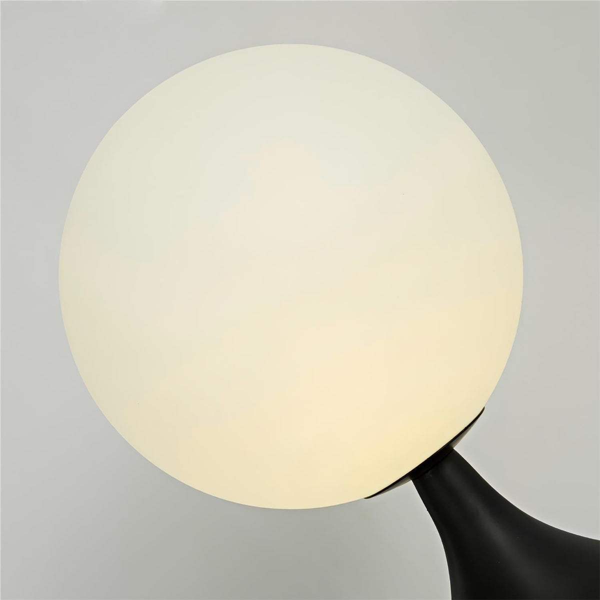 Renalina Floor Lamp