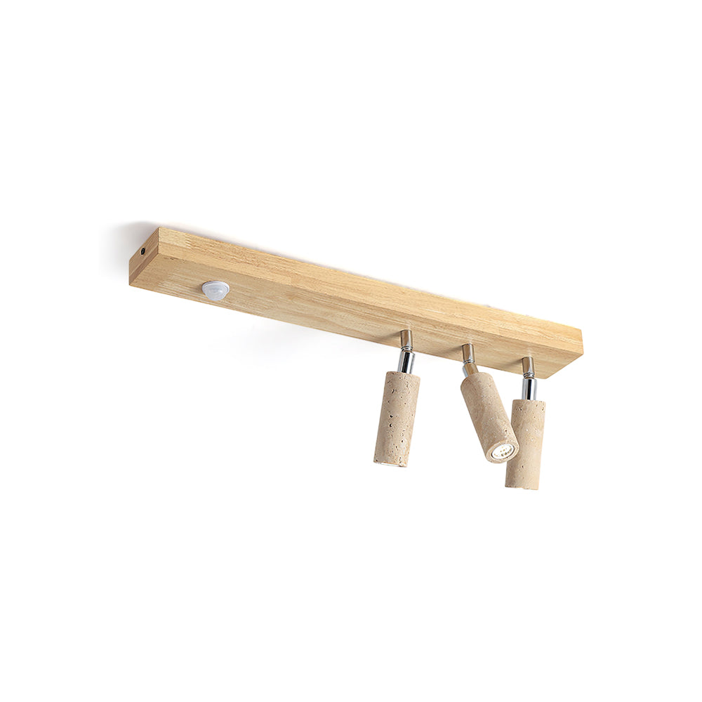 Arlen Ceiling Light