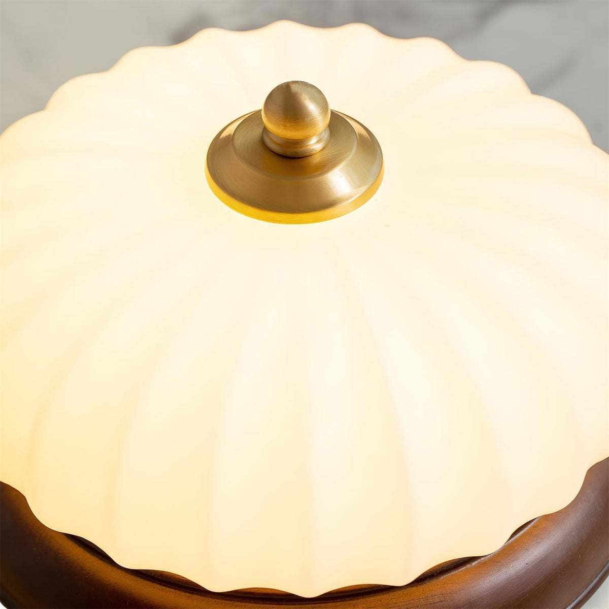 Soririan Ceiling Lamp
