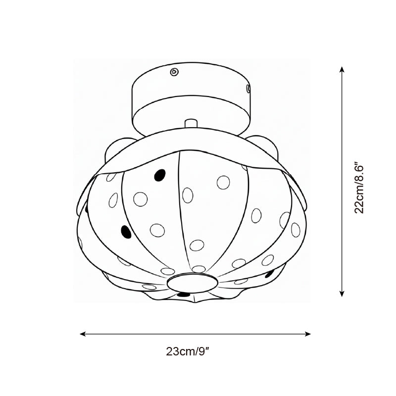 Lioranena Flush Mount Ceiling Lamp