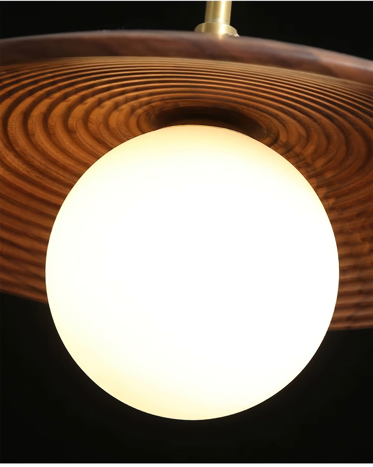 Lumiira Pendant Light