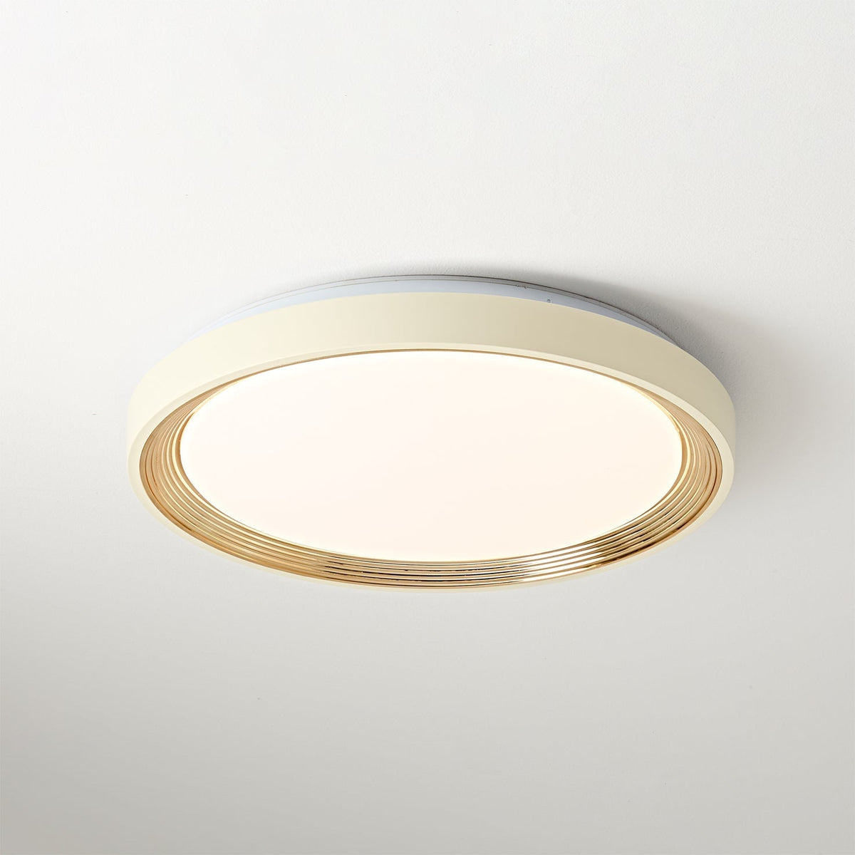 Calisise Ceiling Light