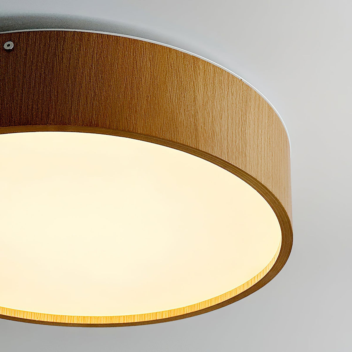 Rivieria Flush Mount Ceiling Lamp