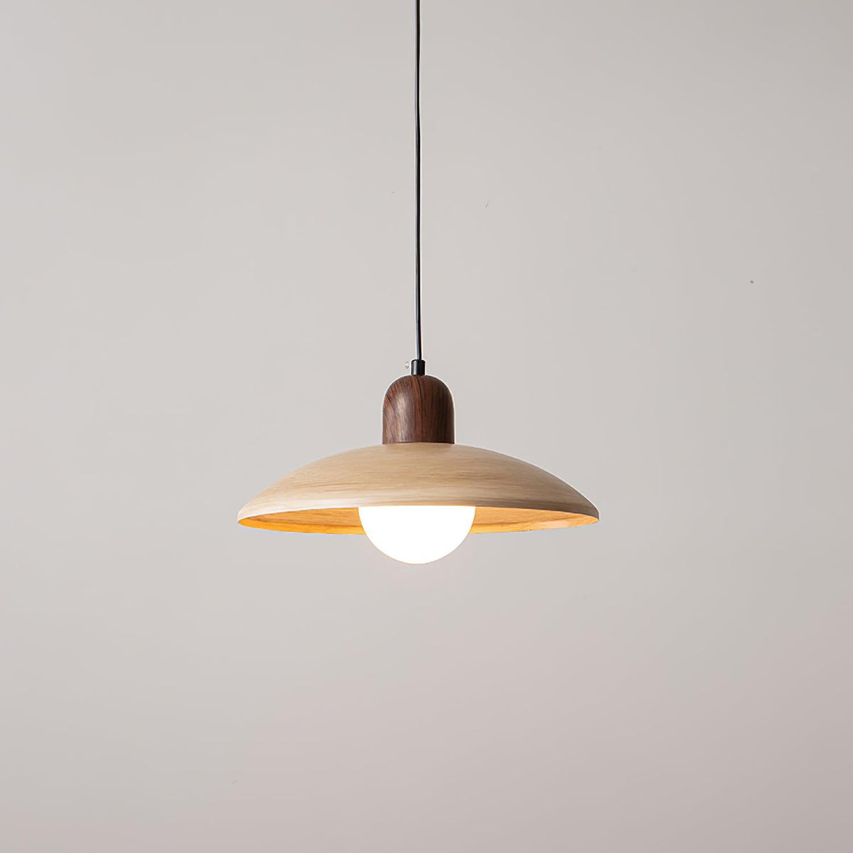 Norrin Dome Pendant Light