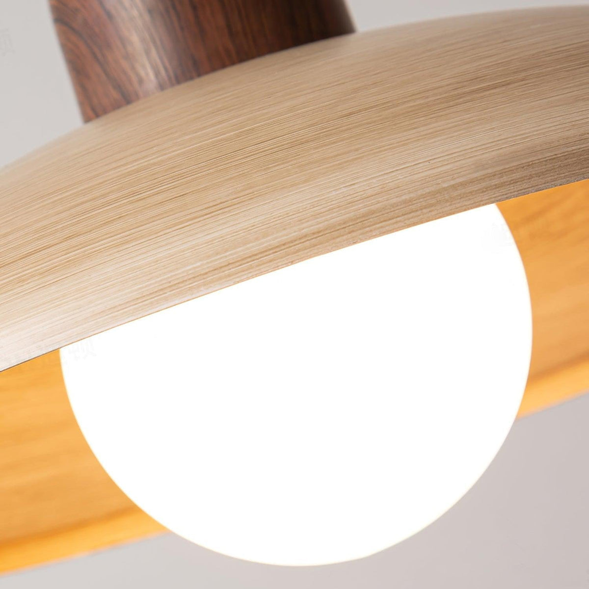Norrin Dome Pendant Light