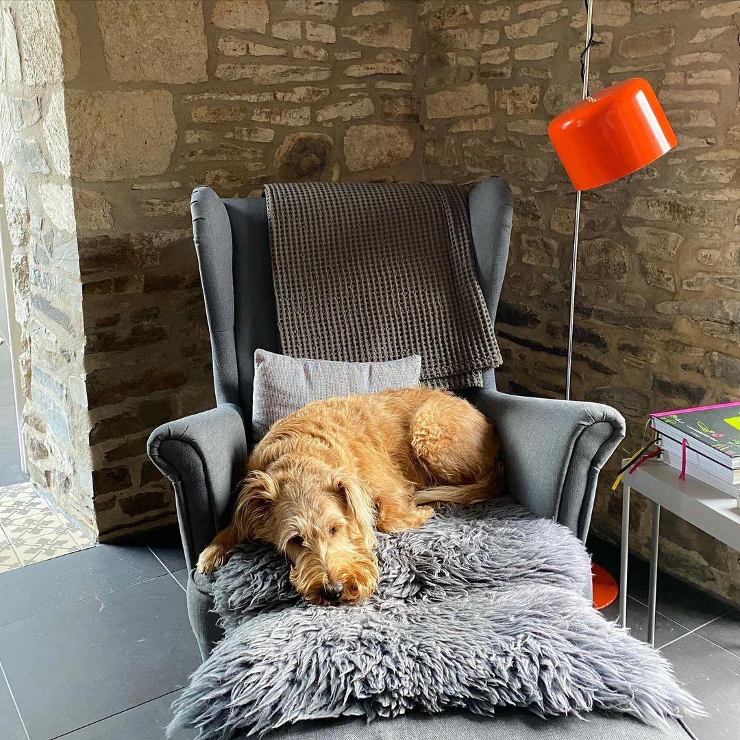 Norisielle Floor Lamp