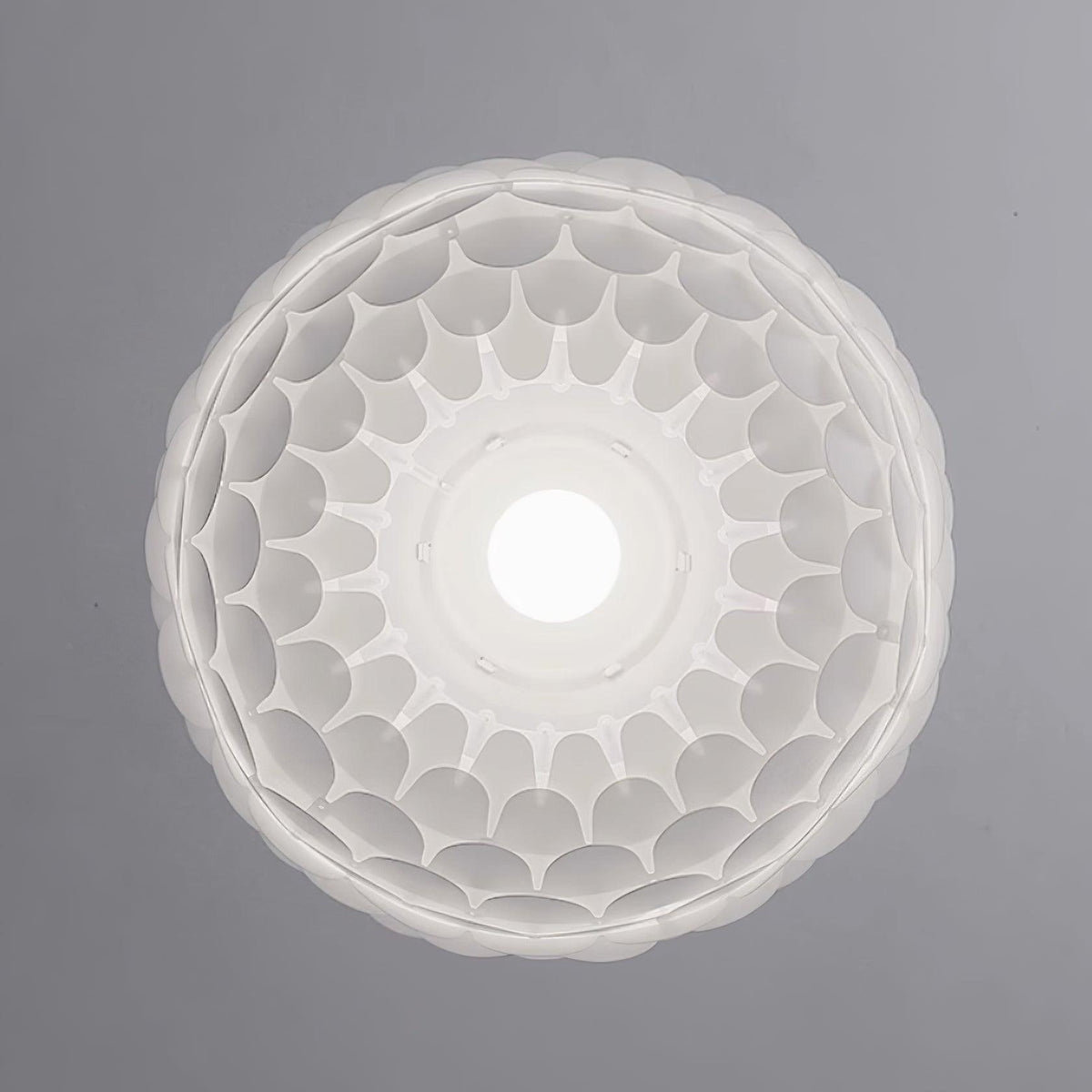 Crownel Pendant Lamp