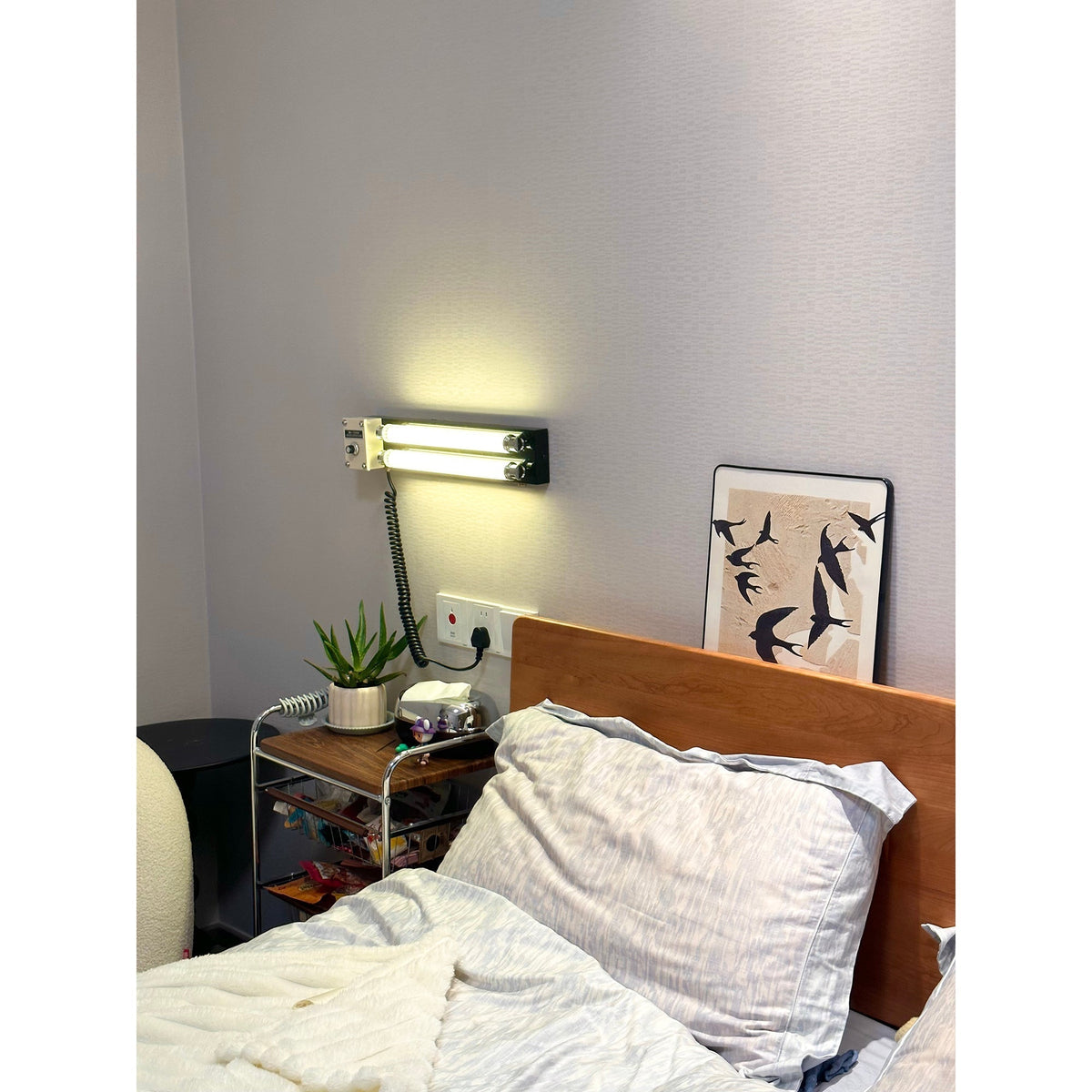 Cutshall Plug-in Wall Lamp