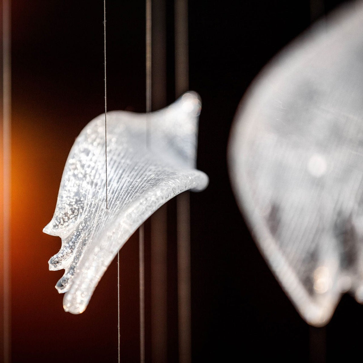 Zathaara Glass Feather Shape Chandelier