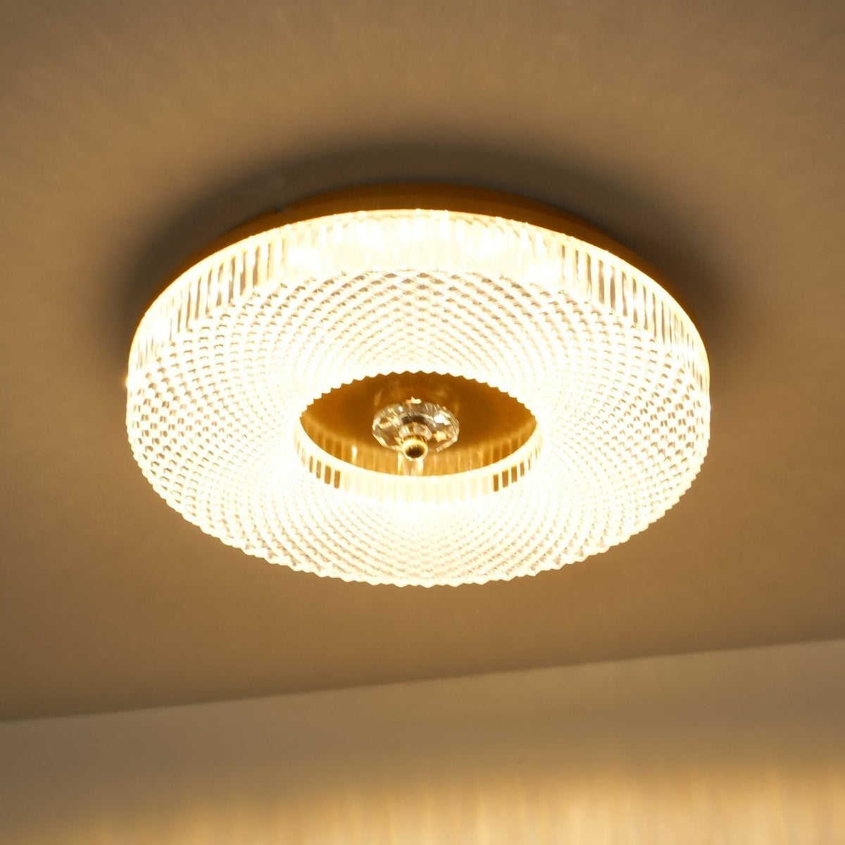 Nirenaine Ceiling Lamp LED Flush Mount Acrylic