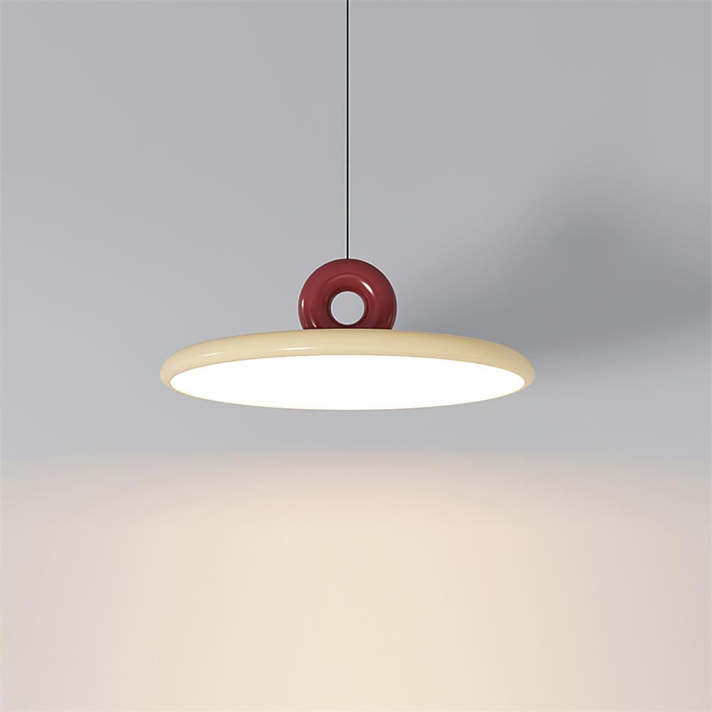 Novel Pendant Lamp