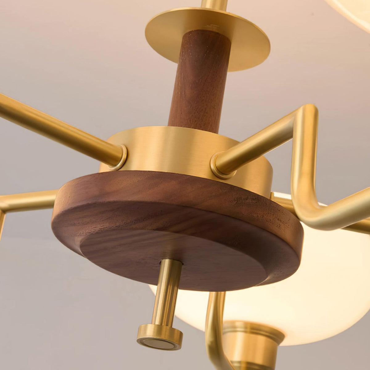Genamia Chandelier