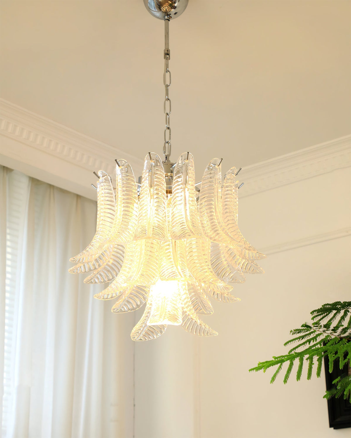 Cirereon Chandelier