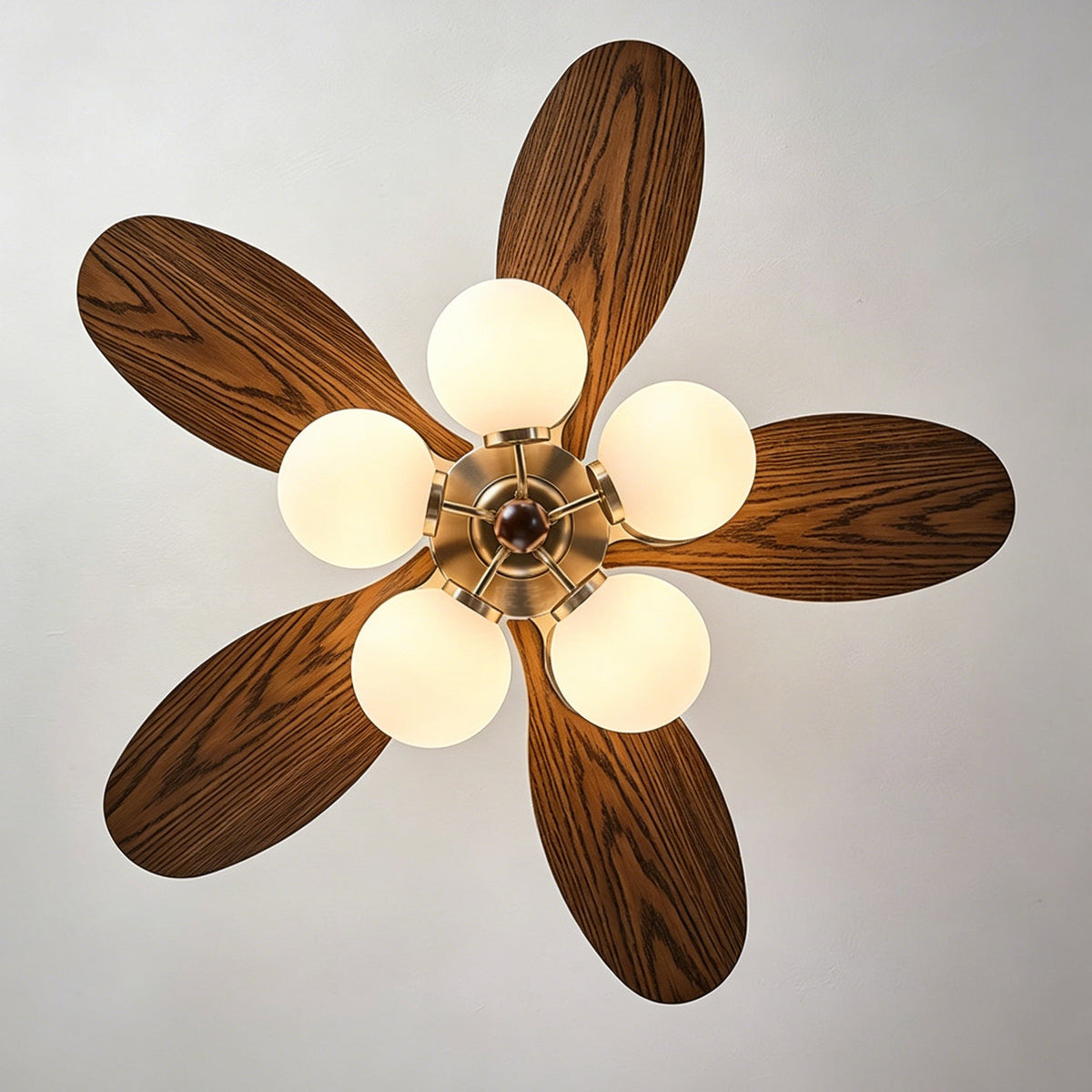 Virellon Ceiling Fan Light
