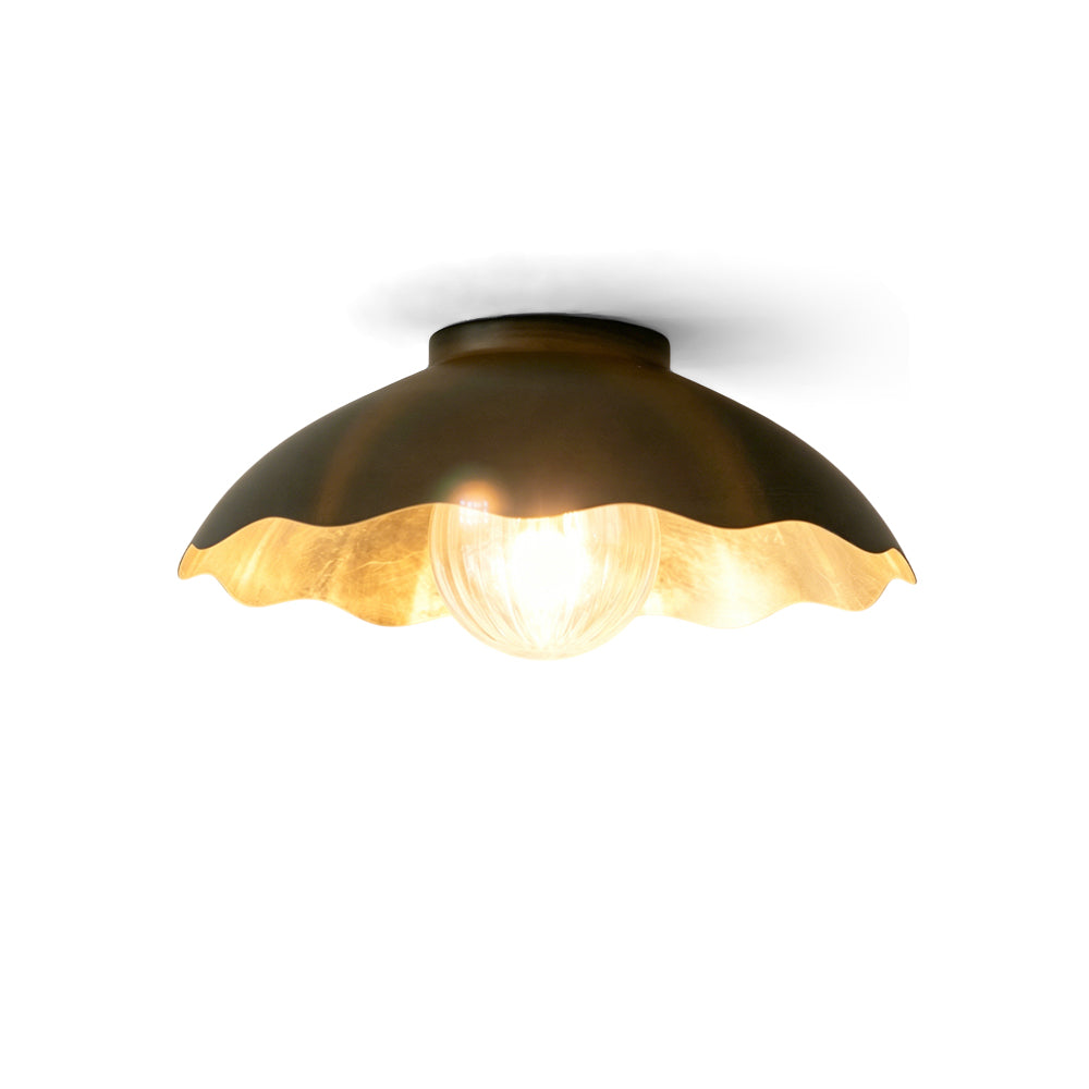 Avenisaya Ceiling Light