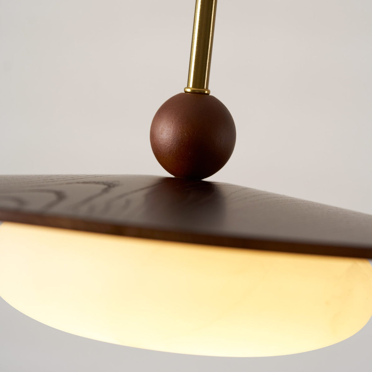 Viraeriella Pendant Lamp