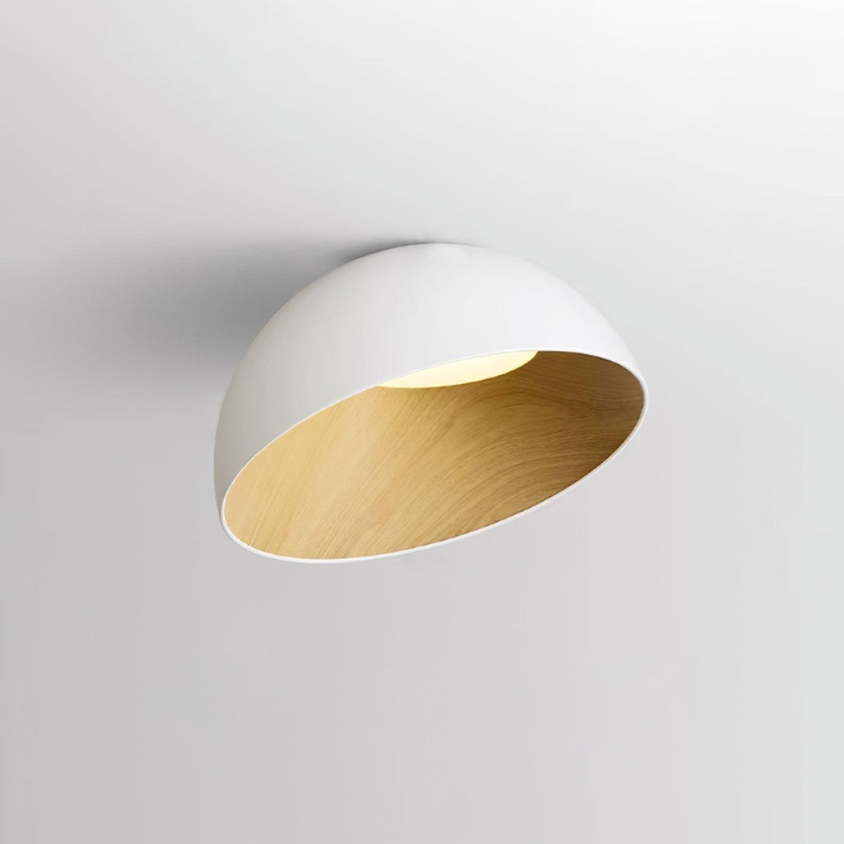 Flanel Ceiling Lamp