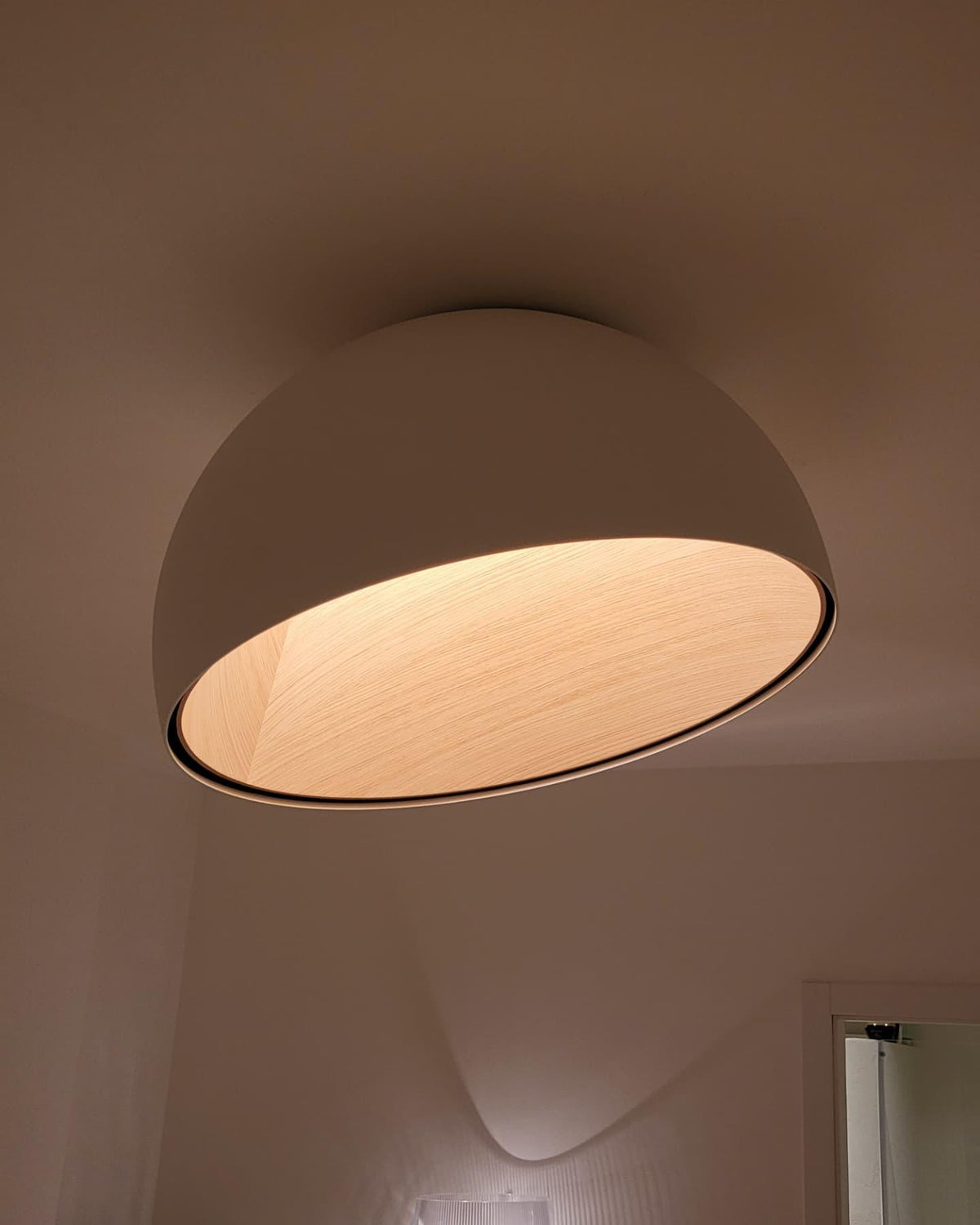 Flanel Ceiling Lamp