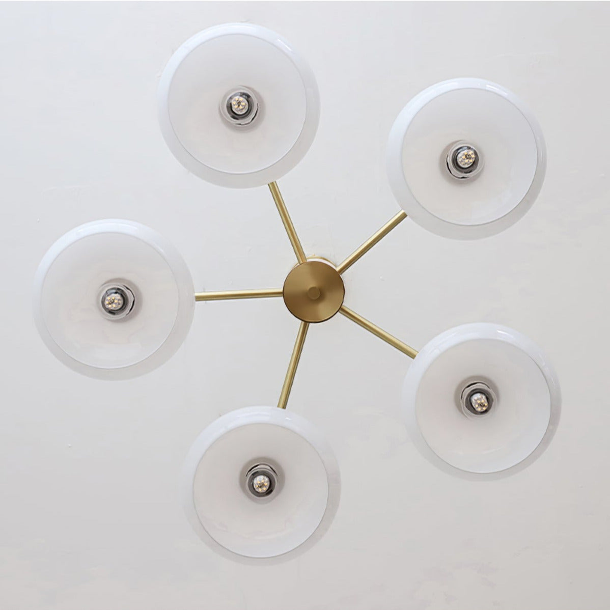 Pinaber Glass Persimmon Chandeliers