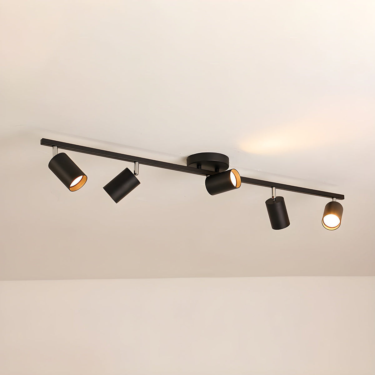 Yethen Aluminum Contemporary Ceiling Light
