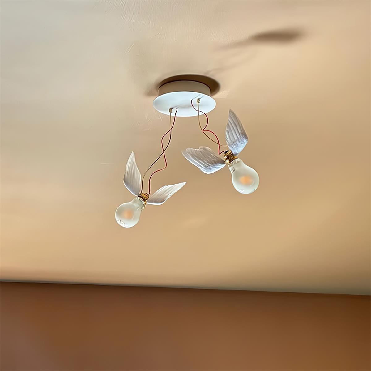Lioranaria Wall Light