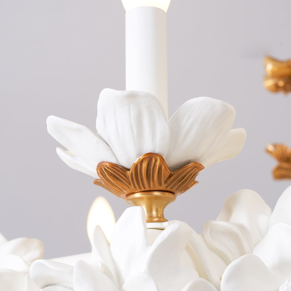Oreleelle Chandelier
